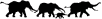 African Wildlife Foundation